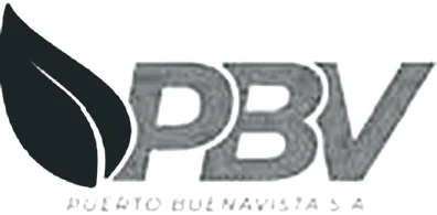 PBV Puerto Buenavista